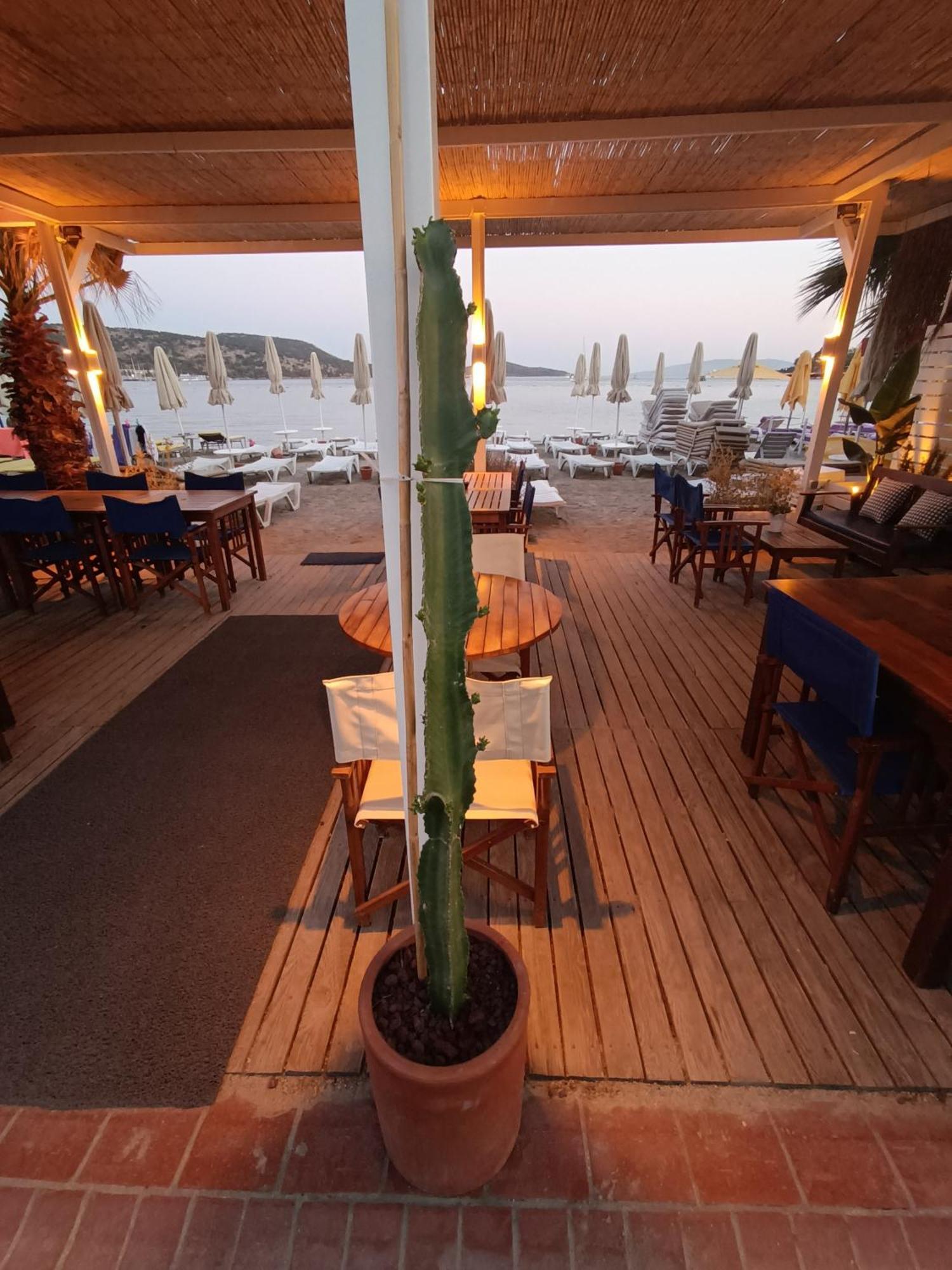 Uzhan Beach Hotel Bitez Buitenkant foto